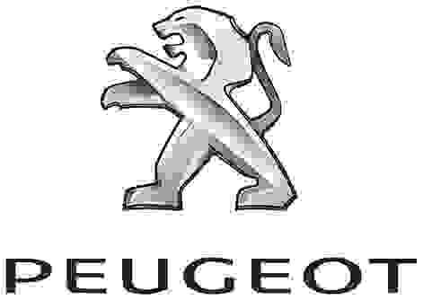 Servicio de alquiler de coche Peugeot con conductor